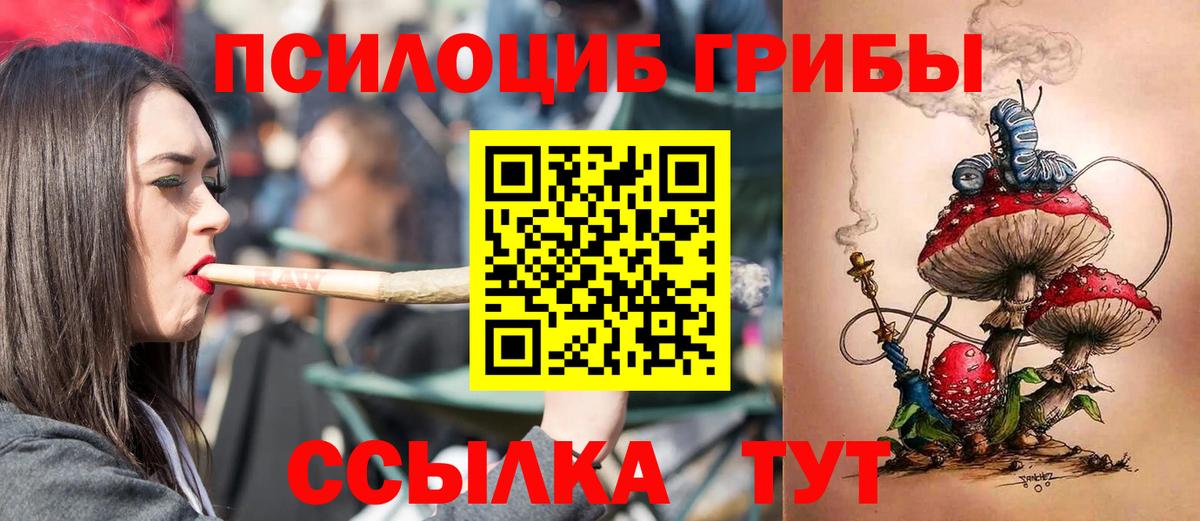 Галлюциногенные грибы ЛСД Гурьевск